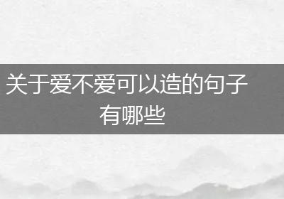 关于爱不爱可以造的句子有哪些