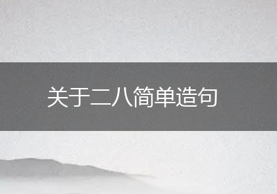 关于二八简单造句