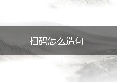 扫码怎么造句