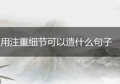 用注重细节可以造什么句子