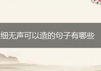 细无声可以造的句子有哪些