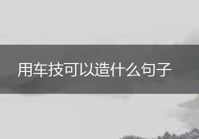 用车技可以造什么句子