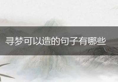 寻梦可以造的句子有哪些