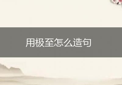 用极至怎么造句