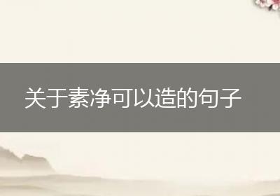 关于素净可以造的句子