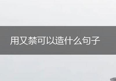 用又禁可以造什么句子