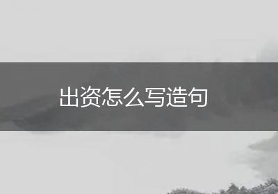 出资怎么写造句