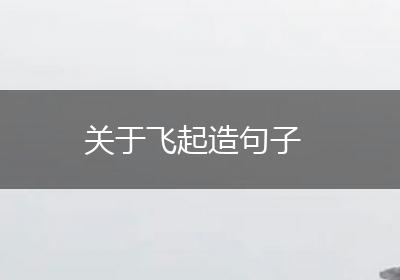 关于飞起造句子