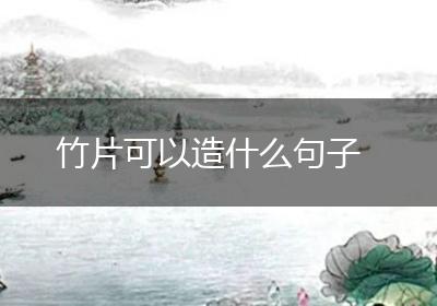 竹片可以造什么句子