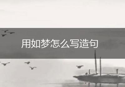 用如梦怎么写造句