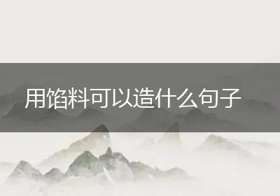 用馅料可以造什么句子