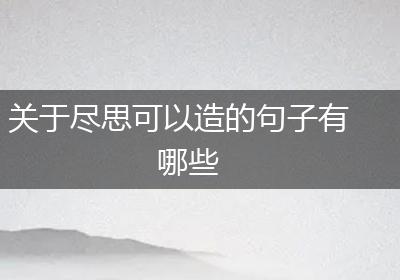 关于尽思可以造的句子有哪些