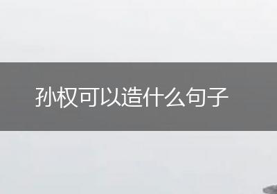 孙权可以造什么句子