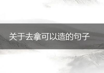 关于去拿可以造的句子