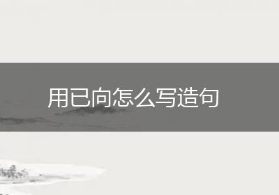 用已向怎么写造句