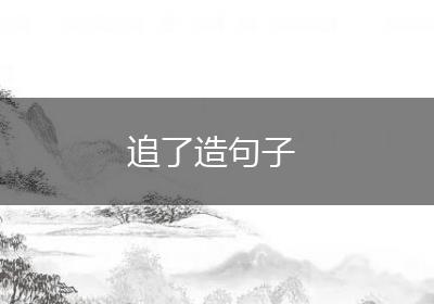 追了造句子