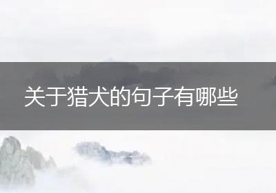 关于猎犬的句子有哪些