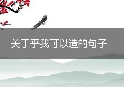 关于乎我可以造的句子