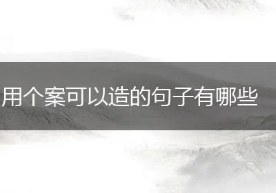 用个案可以造的句子有哪些