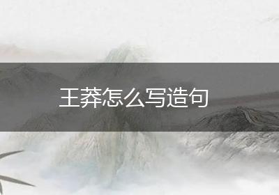 王莽怎么写造句