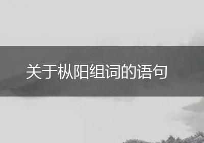 关于枞阳组词的语句