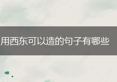 用西东可以造的句子有哪些