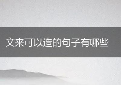 文来可以造的句子有哪些