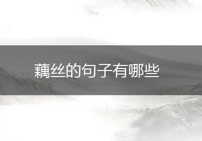 藕丝的句子有哪些