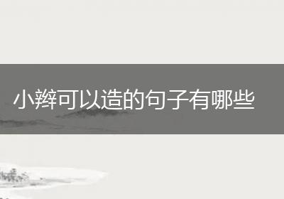 小辫可以造的句子有哪些