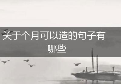 关于个月可以造的句子有哪些