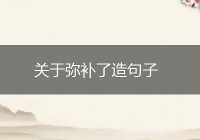 关于弥补了造句子