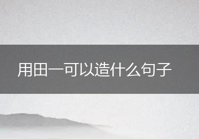 用田一可以造什么句子