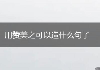 用赞美之可以造什么句子