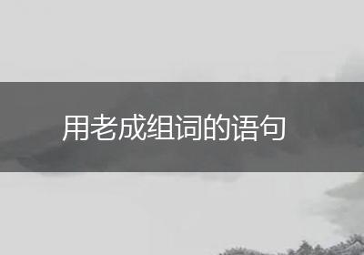 用老成组词的语句