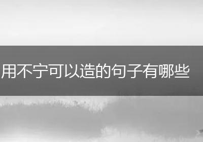 用不宁可以造的句子有哪些