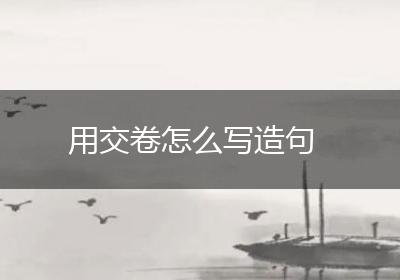 用交卷怎么写造句