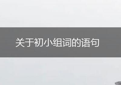 关于初小组词的语句