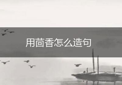 用茴香怎么造句