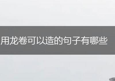 用龙卷可以造的句子有哪些