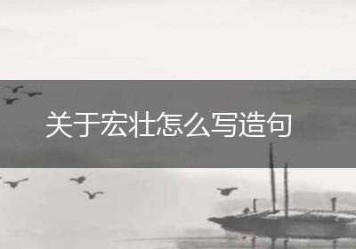 关于宏壮怎么写造句