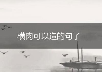 横肉可以造的句子