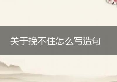 关于挽不住怎么写造句
