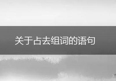 关于占去组词的语句