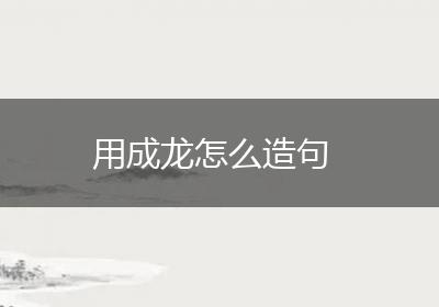 用成龙怎么造句