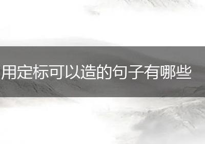 用定标可以造的句子有哪些