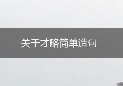 关于才略简单造句