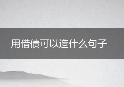 用借债可以造什么句子