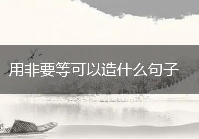 用非要等可以造什么句子