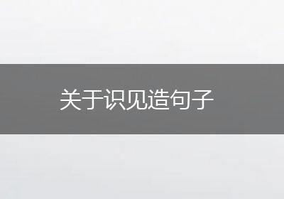 关于识见造句子
