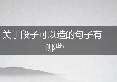 关于段子可以造的句子有哪些